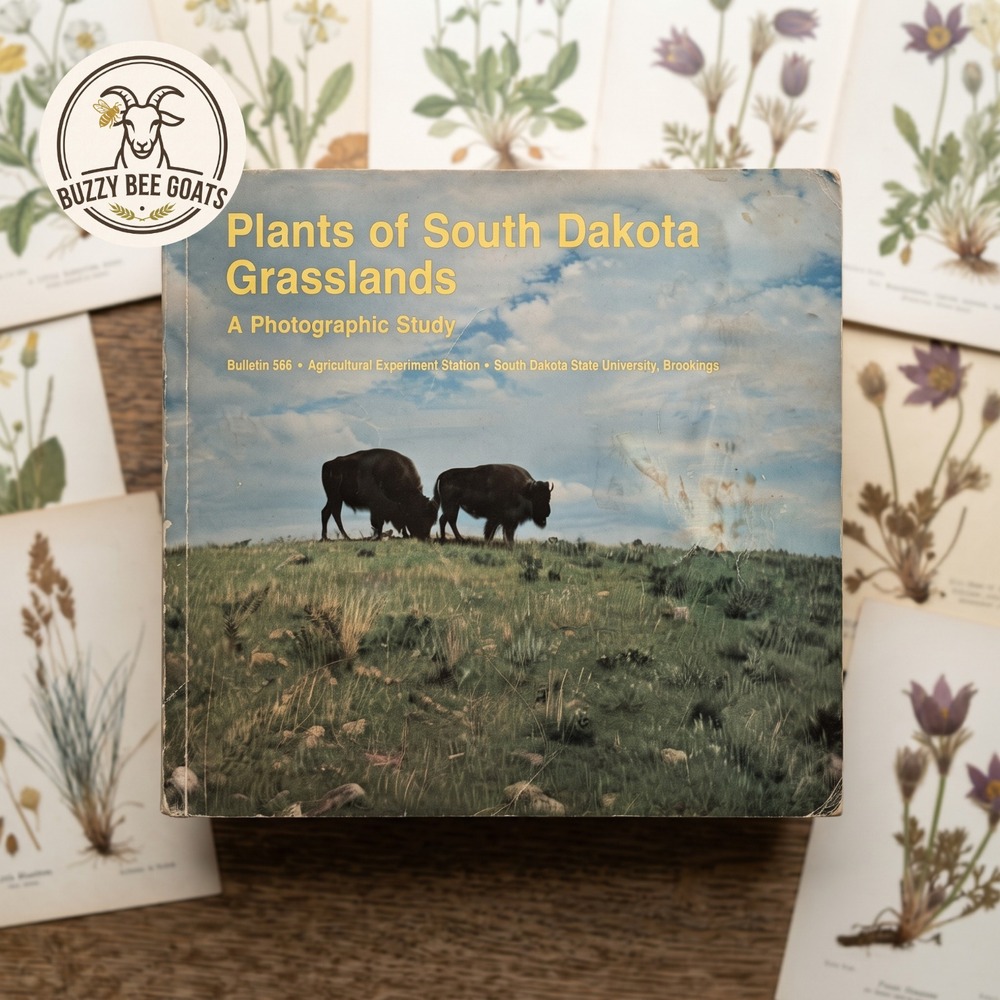 Plans of South Dakota Grasslands Photo Book Michael P. Berman 2015 Softcover